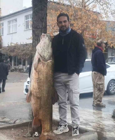 elazigda-60-kiloluk-turna-baligi-yakalandi-A3ATr2H4.jpg