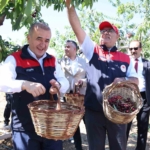 elazigda-7-bin-dekar-alanda-kiraz-hasadi-devam-ediyor-nN2ONnsc.jpg