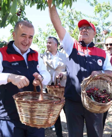 elazigda-7-bin-dekar-alanda-kiraz-hasadi-devam-ediyor-nN2ONnsc.jpg