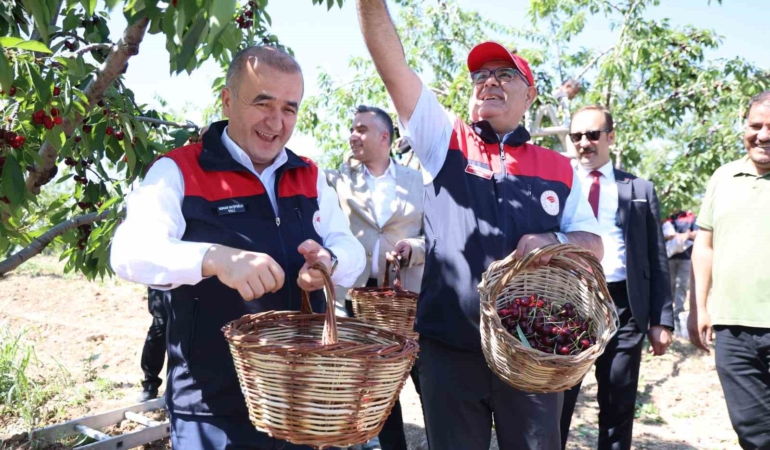 elazigda-7-bin-dekar-alanda-kiraz-hasadi-devam-ediyor-nN2ONnsc.jpg