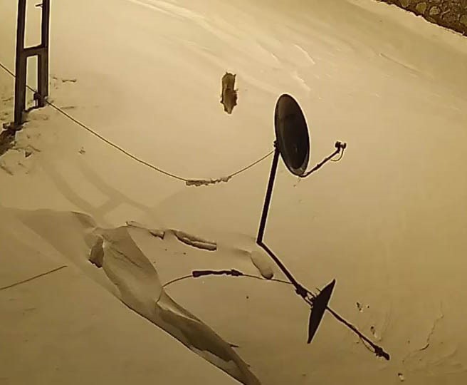 elazigda ac kalan yaban hayvanlari koye indi 3 puHEKIiO