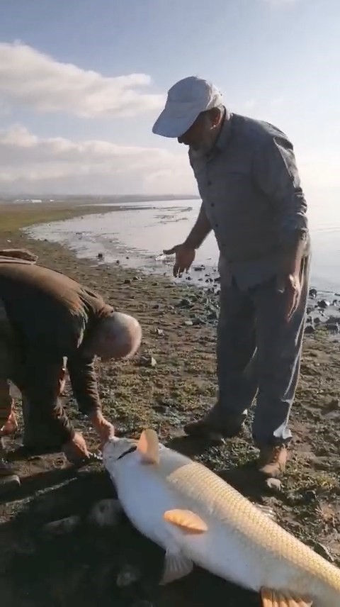 elazigda amator balikcilar 65 kilo agirliginda turna baligi yakaladi 2 93sgEIit