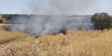 elazigda-arazi-yangini-ekiplerin-mudahalesi-suruyor-44l66AQn.jpg