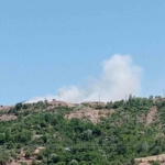 elazigda-arazi-yangini-wMZPKwGy.jpg