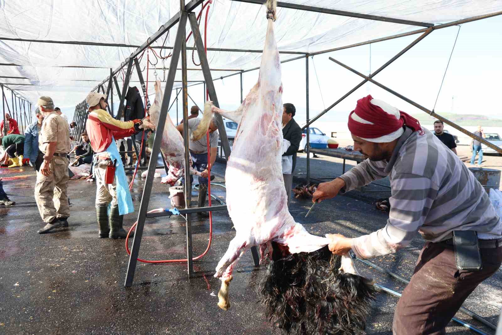 elazigda bayram namazini kilan vatandaslar kurbanlarini kesti 1 lnV1e959