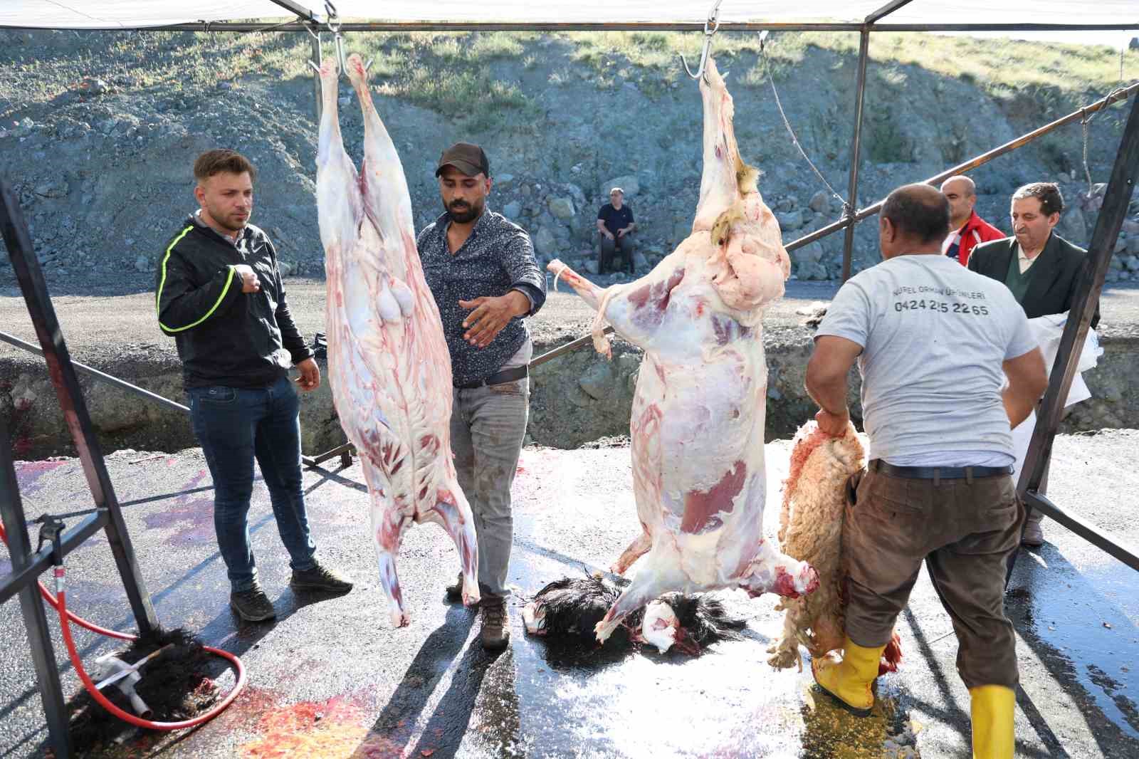 elazigda bayram namazini kilan vatandaslar kurbanlarini kesti 3 3l2cnmml