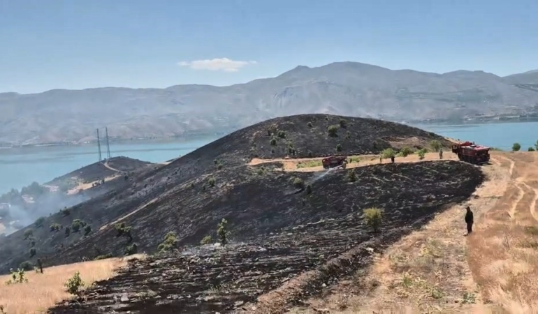 elazigda-cikan-arazi-yangini-sonduruldu-mFWQQx99.jpg