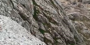 elazigda-dag-kecileri-suru-halinde-goruldu-cGpuUgjU.jpg