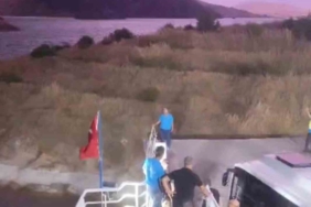 Kedi ile yılanın kavgası kamerada 2 thumbnail