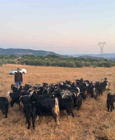 elazigda-kaybolan-30-keci-dron-destekli-calismayla-bulundu-wi79c8qW.jpg