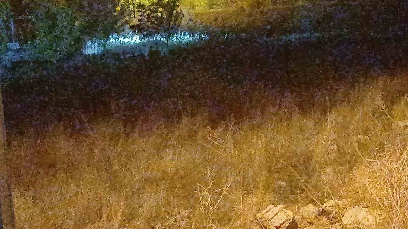 elazigda kayip otizmli cocugu arama calismalari 72 saatte de gece boyunca suruyor 7 vCC1bv5c