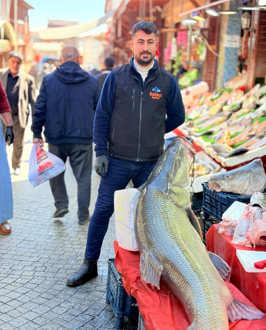 elazigda kurban pazarligini aratmayan goruntu vatandaslar dev balik icin yaristi 0 VwyWPTfK