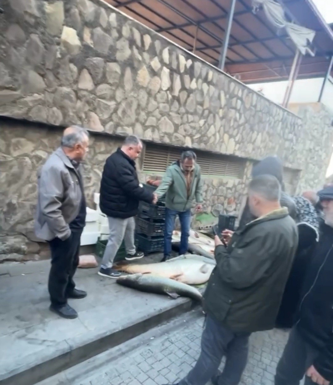elazigda kurban pazarligini aratmayan goruntu vatandaslar dev balik icin yaristi 2 EXDUPzU2
