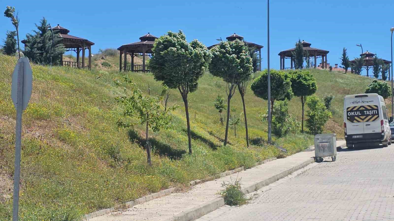 elazigda siddetli ruzgar etkili oldu 0 ZSbzRPqi