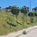 elazigda-siddetli-ruzgar-etkili-oldu-ViLsGDHe.jpg