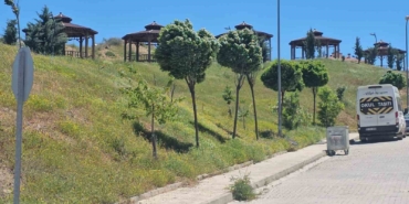 elazigda-siddetli-ruzgar-etkili-oldu-ViLsGDHe.jpg