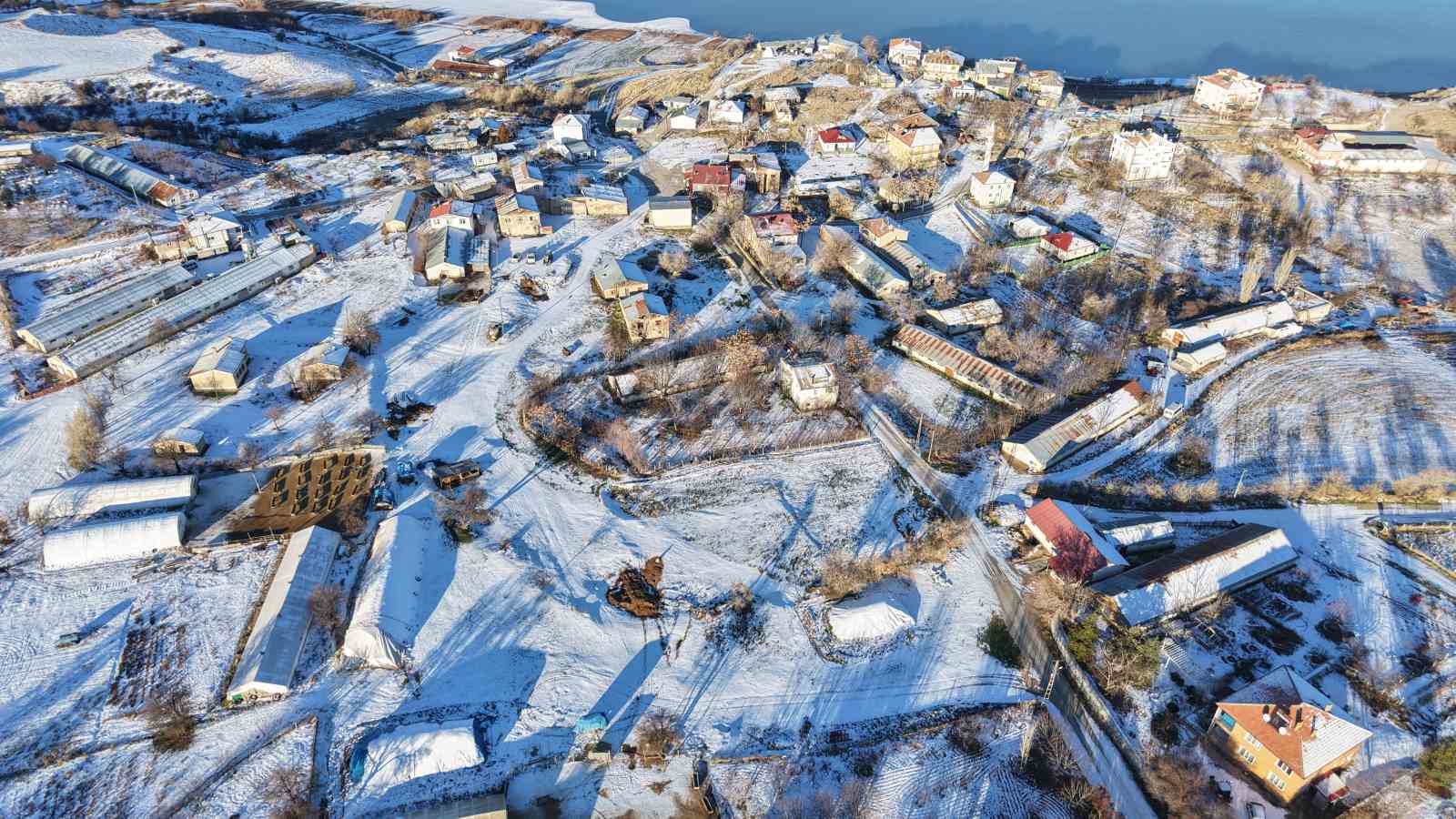 elazigda soguk havada doganin sessiz misafirleri kara bataklar 8 DAyROP6y