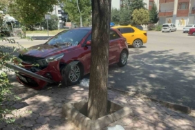 Mardin’de örtü ve anız yangını söndürüldü 1 thumbnail