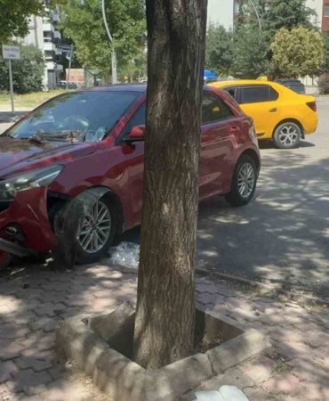 elazigda-trafik-kazasi-6-yarali-NQOcGhZv.jpg