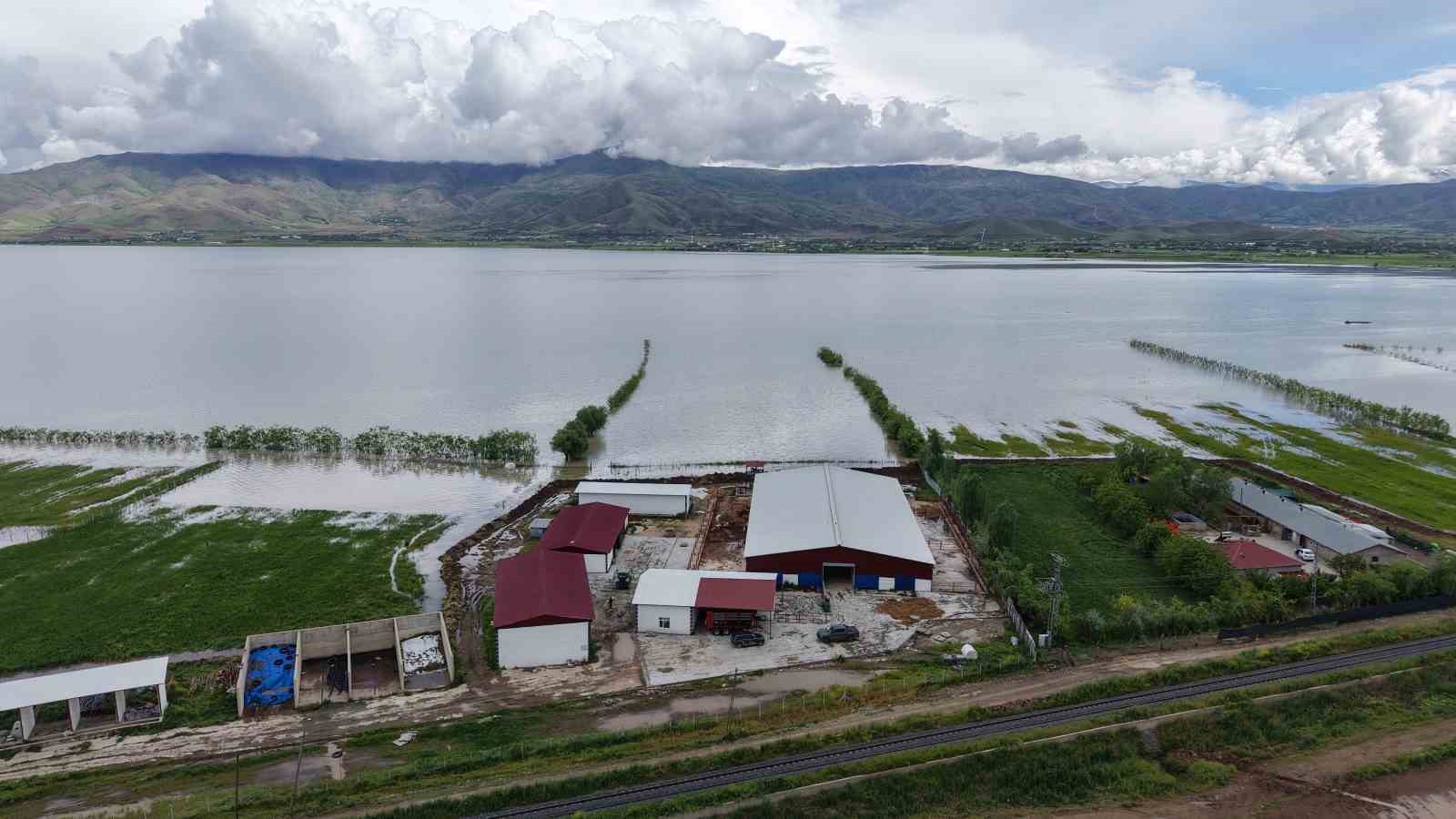 elazigda ureticiler tedirgin ciftlikleri suyun altinda kalmasin diye nobet tutuyorlar 1 s2iE8R7L