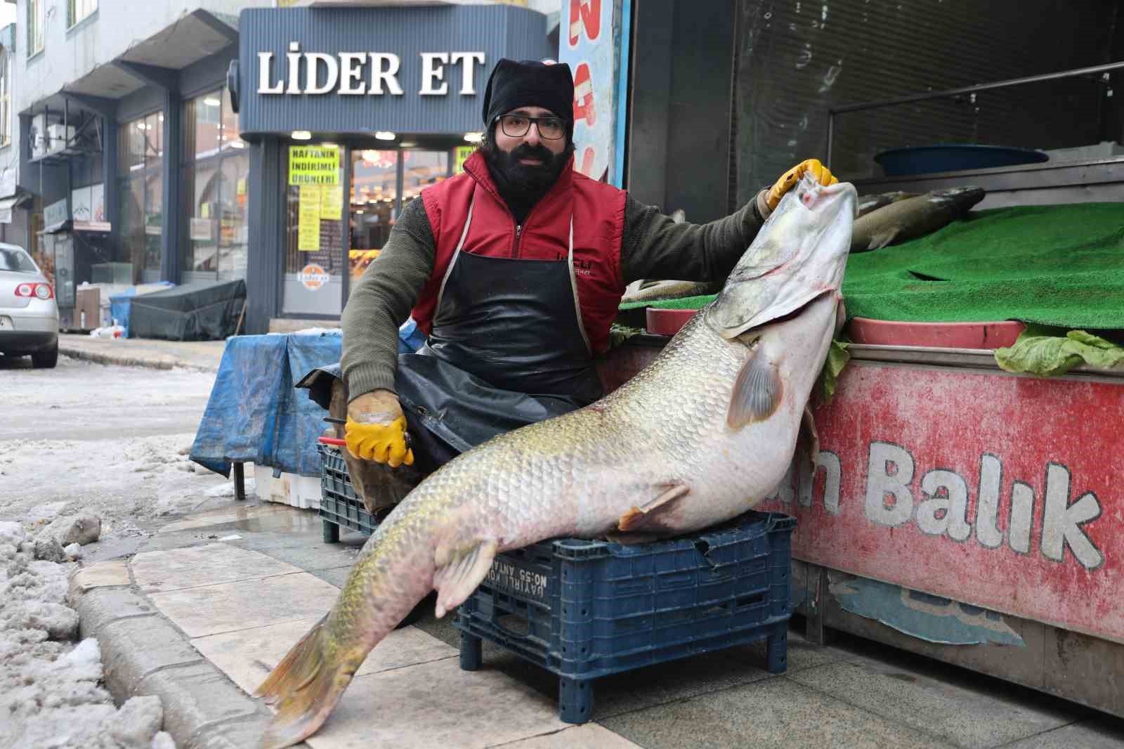 elazigda yakalanan 78 kilogram agirligindaki turna baligini iki kisi zor tasidi 1 PdnbyRyZ