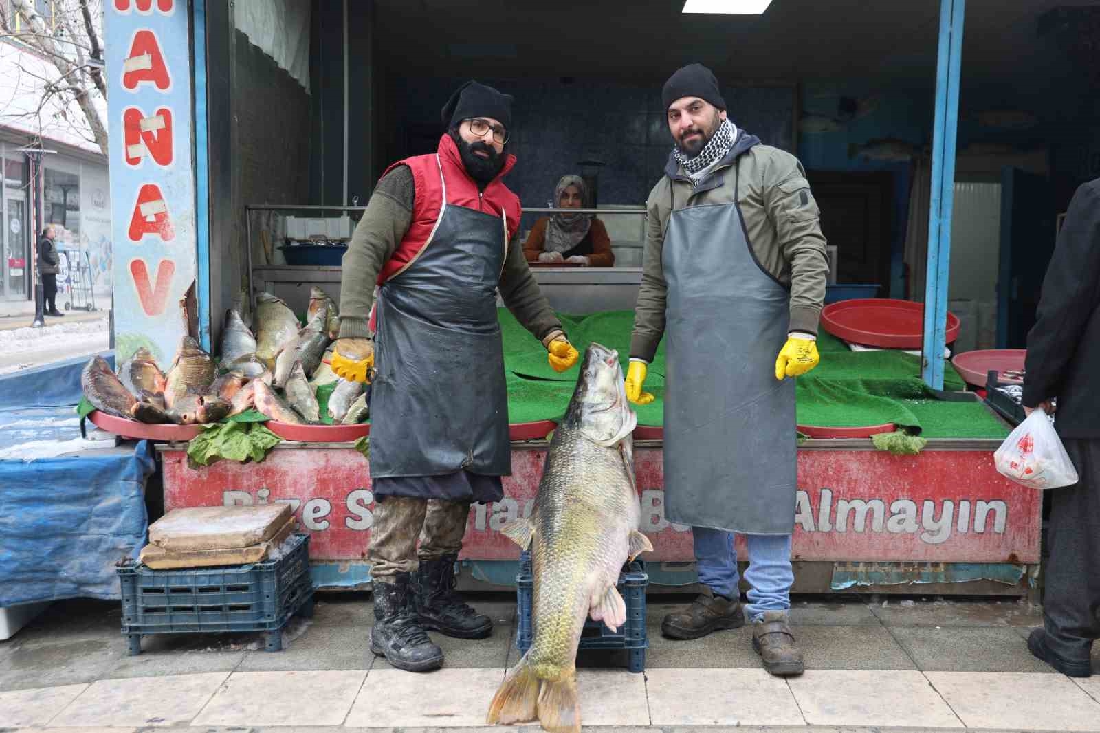 elazigda yakalanan 78 kilogram agirligindaki turna baligini iki kisi zor tasidi 2 wJ8OOui5