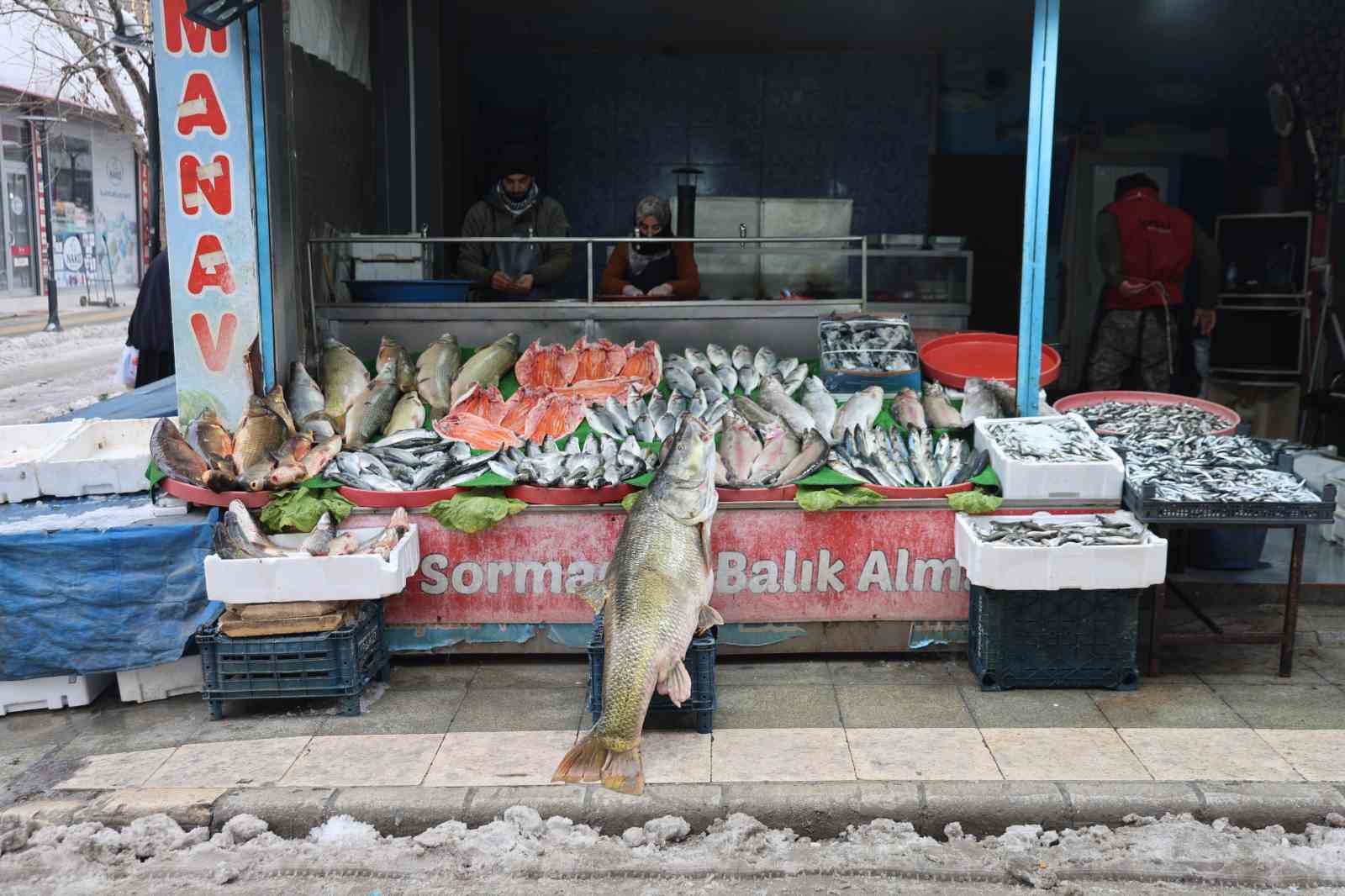 elazigda yakalanan 78 kilogram agirligindaki turna baligini iki kisi zor tasidi 6 JIfBDQcX
