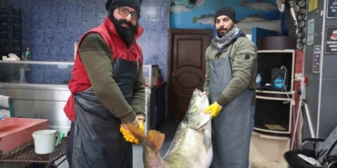 elazigda-yakalanan-78-kilogram-agirligindaki-turna-baligini-iki-kisi-zor-tasidi-E1FbAVBx.jpg