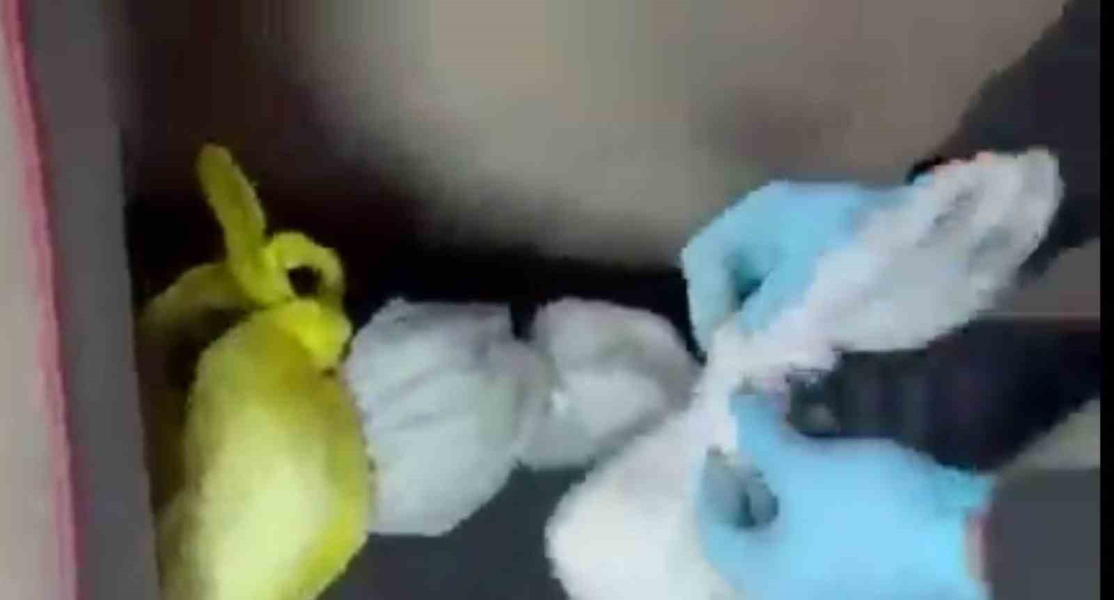 elazigda yaklasik 2 kilo metamfetamin ele gecirildi 4 supheli tutuklandi 2 iXFVqJnT