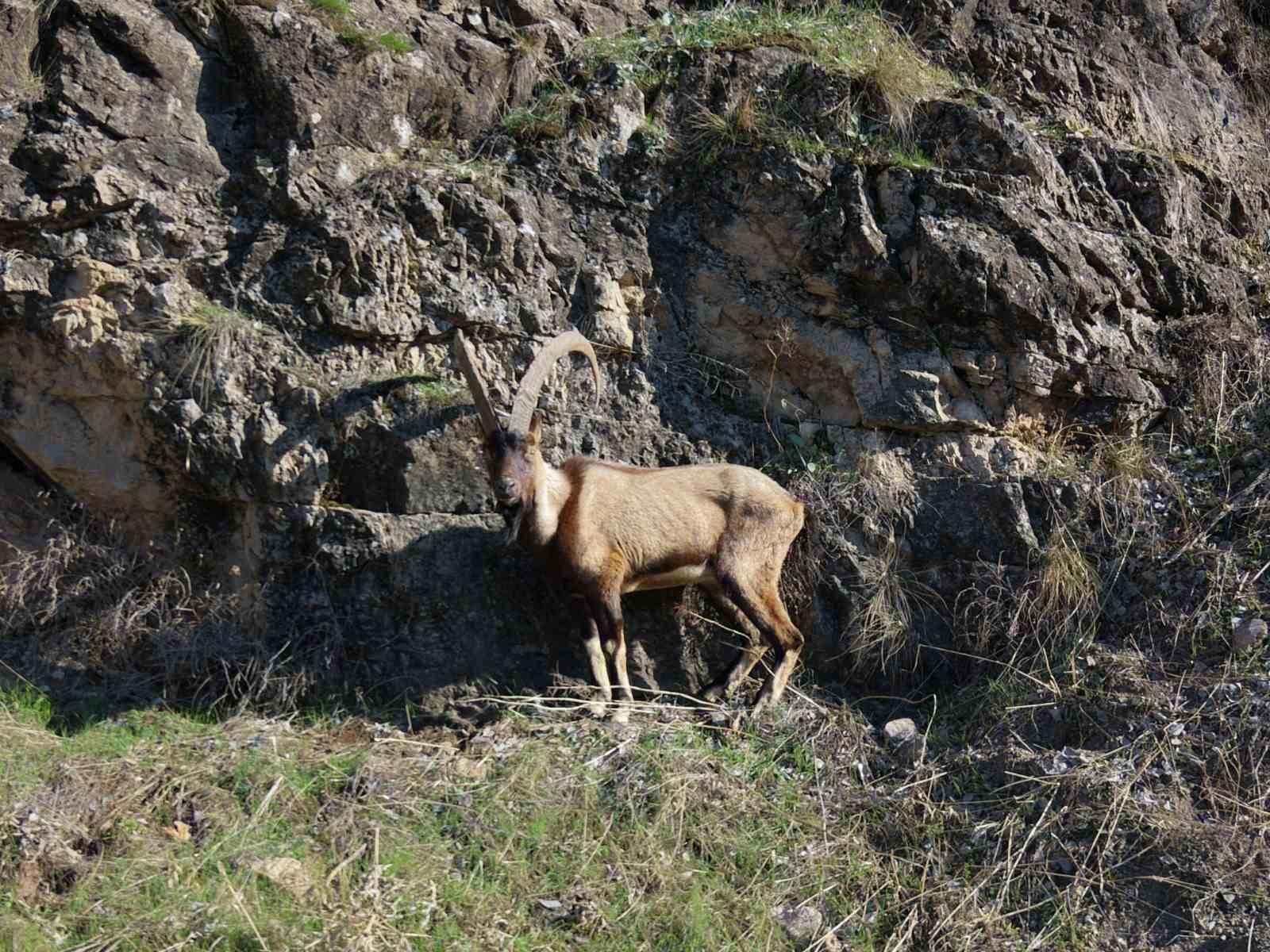 elazigda yarali dag kecisi icin ekipler seferler oldu 2 OL9BtCPQ