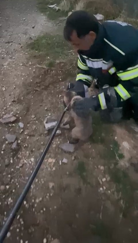 Elazığ’da yürek ısıtan kurtarma operasyonu 5 elazigda yurek isitan kurtarma operasyonu 1