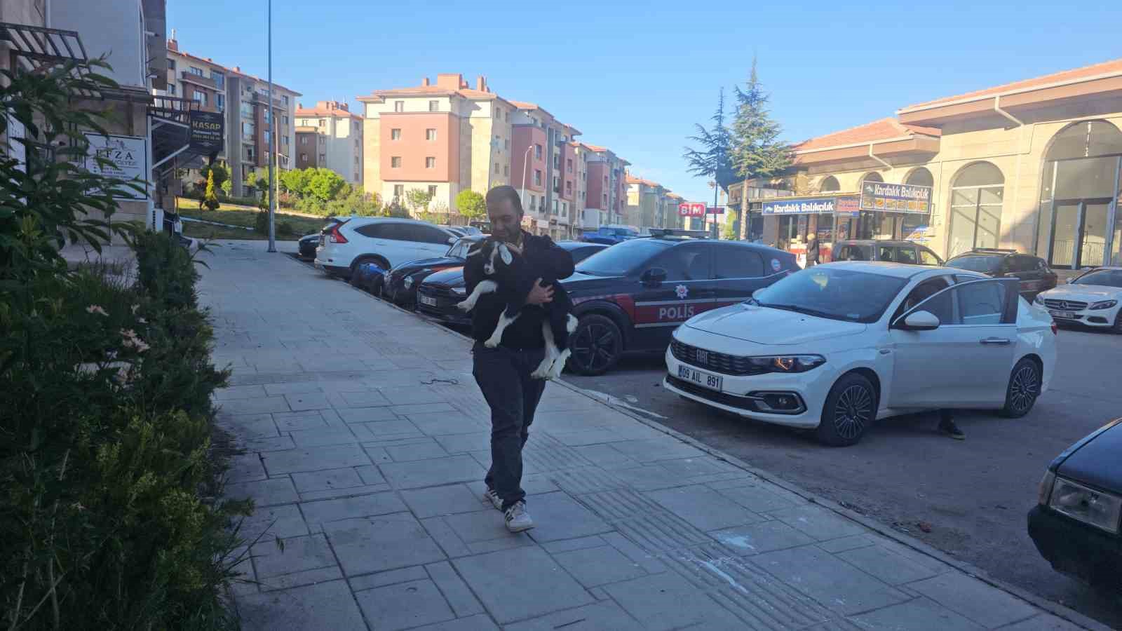 elazigda zeytin isimli oglak mahallenin maskotu haline geldi 3 JCtlt1hj