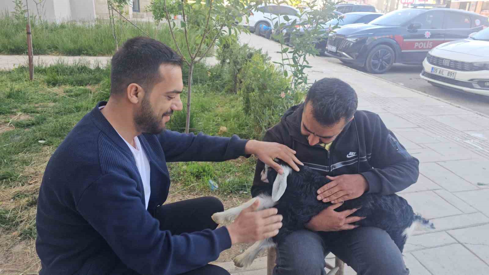 elazigda zeytin isimli oglak mahallenin maskotu haline geldi 4 bFTBGEQ9