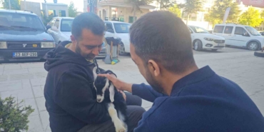 elazigda-zeytin-isimli-oglak-mahallenin-maskotu-haline-geldi-grgZlTwD.jpg