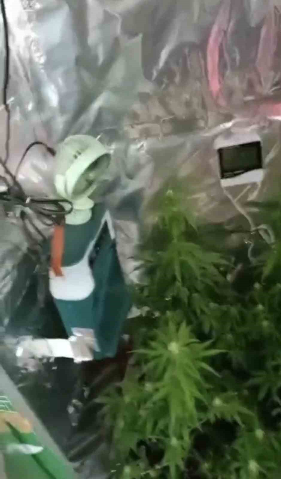 elbise dolabinda ozel iklimlendirme sistemiyle uyusturucu serasi 4 Yd9y6Kjp