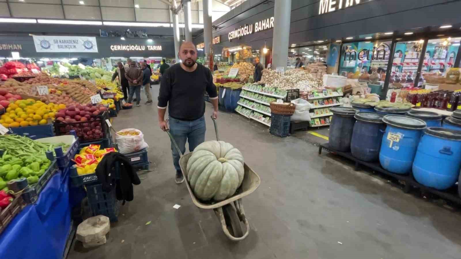 ele avuca sigmayan 60 kiloluk bal kabagi el arabasiyla tasiniyor 2 m5apRGAh