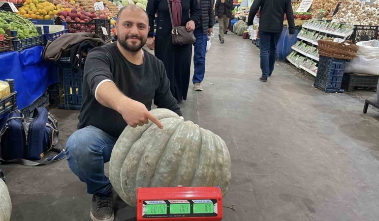 ele-avuca-sigmayan-60-kiloluk-bal-kabagi-el-arabasiyla-tasiniyor-tgyQcN9D.jpg