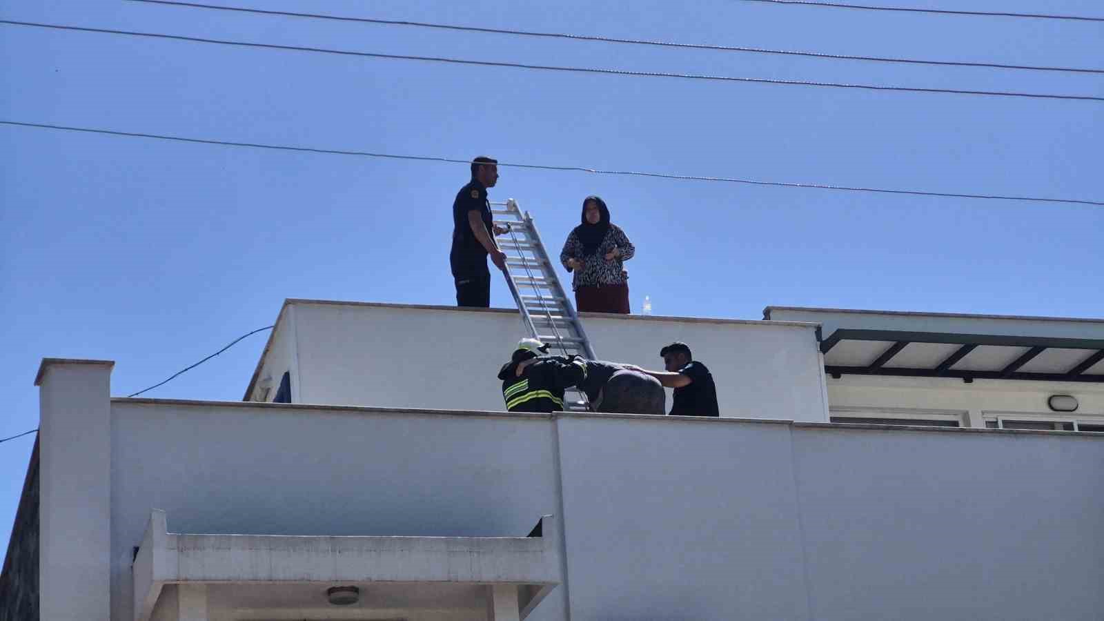 elektrik hatti patladi cikan yanginda 2 kisi mahsur kaldi 2 4dFgJHkq