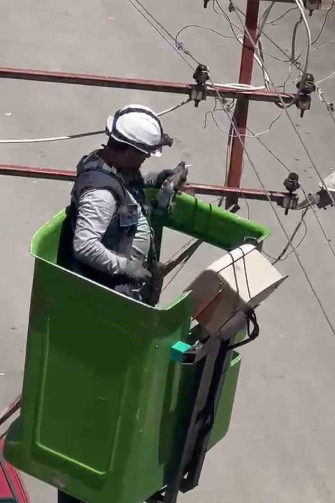 elektrik tellerine takilan kus kurtarildi 0 ALIQTYSb