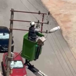 elektrik-tellerine-takilan-kus-kurtarildi-WN7R5bV2.jpg