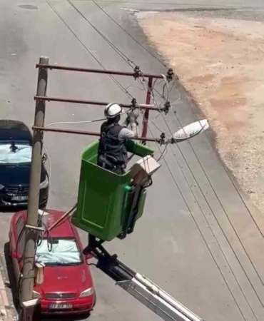 elektrik-tellerine-takilan-kus-kurtarildi-WN7R5bV2.jpg