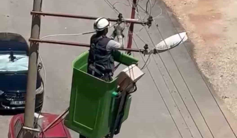 elektrik-tellerine-takilan-kus-kurtarildi-WN7R5bV2.jpg