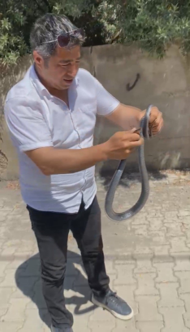 eliyle yakaladigi yilan bacagini isirdi o anlar kamerada 2 tHXPzFhk