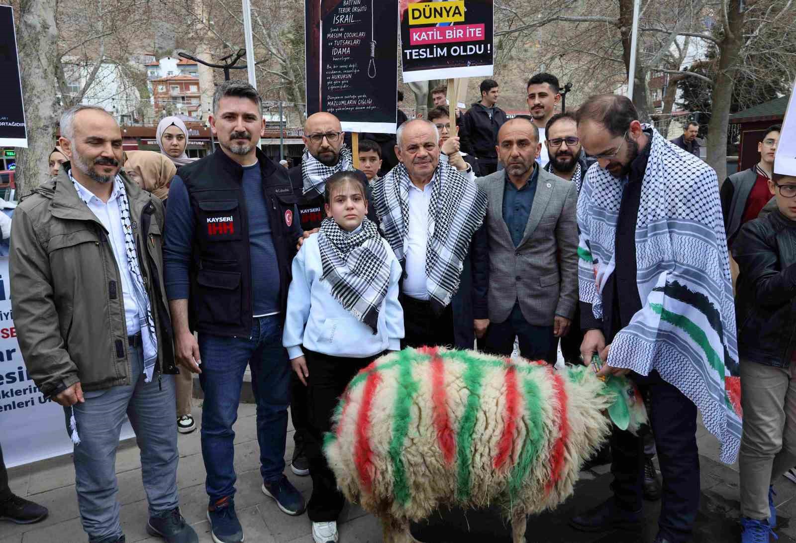 elleriyle besleyip buyuttugu kuzuyu gazzeye bagisladi 0 vlkRXBNH