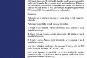 Hamsi tezgahlardaki tahtına yeniden oturdu 1 thumbnail