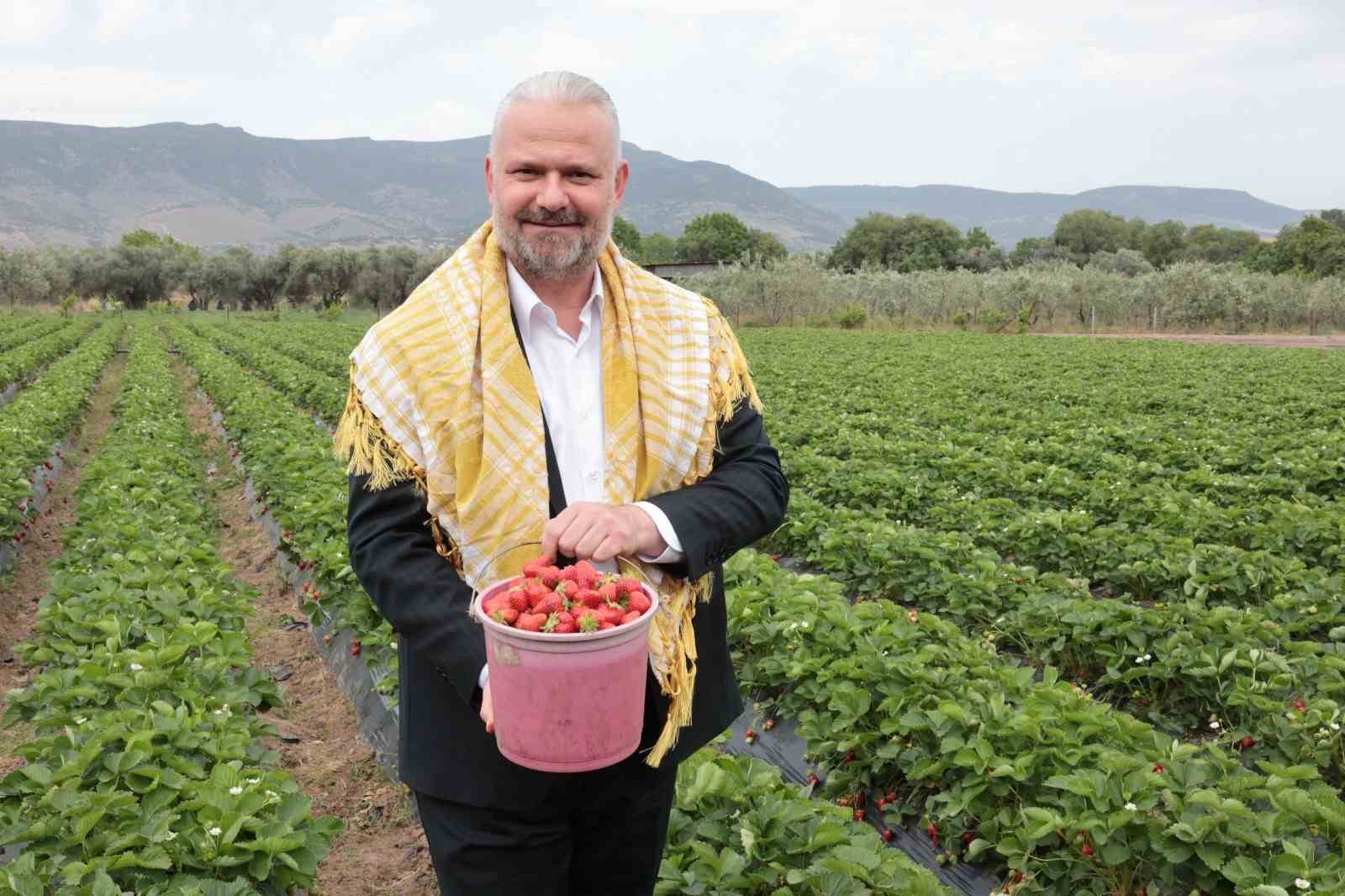 en lezzetli festival icin geri sayim basladi 1 tXL3dGTi