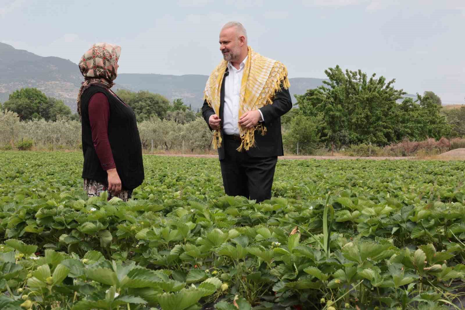 en lezzetli festival icin geri sayim basladi 2 VuRl3lj5