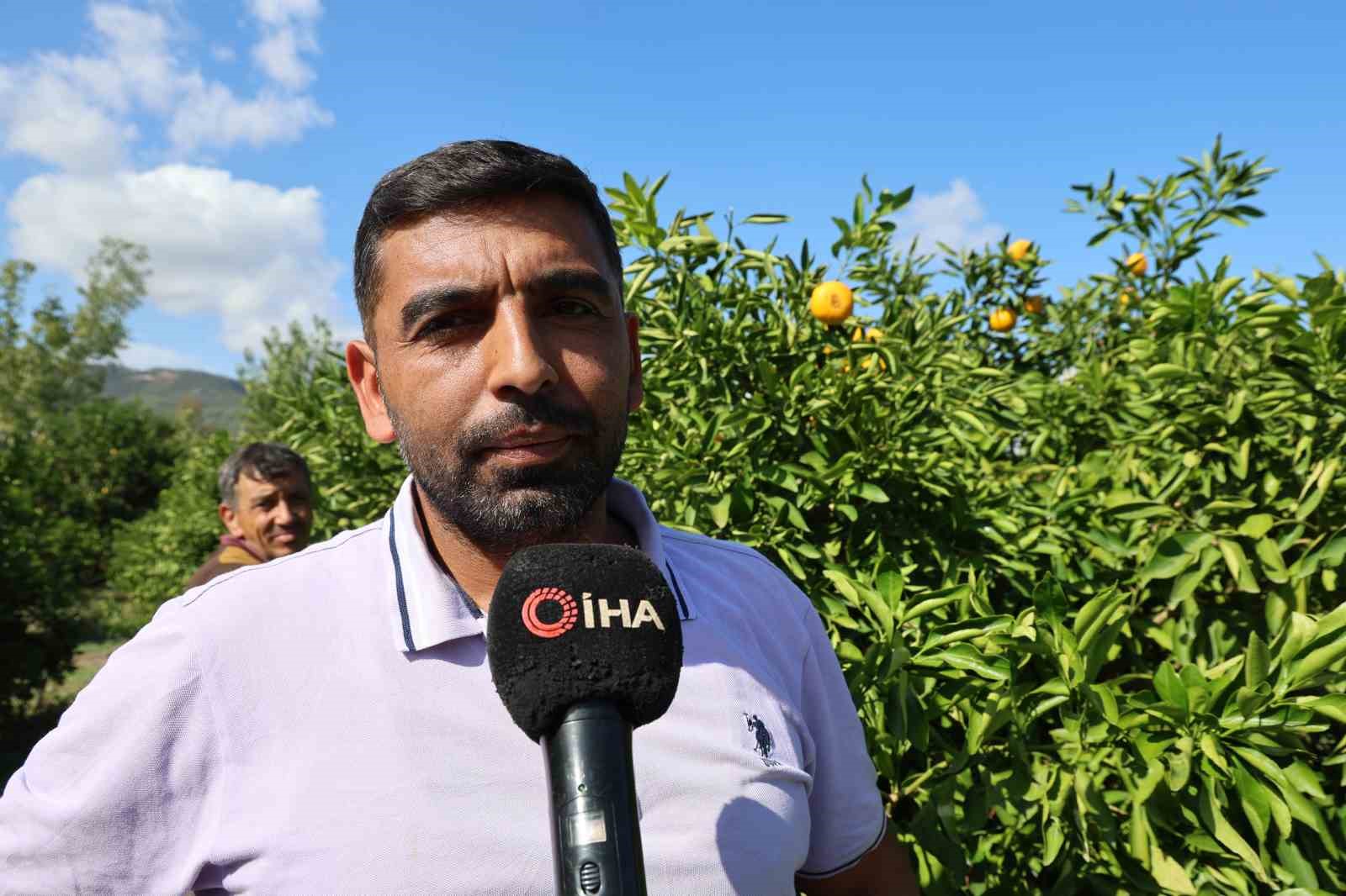en ucuz meyve mandalina bahcede 8 tlye kadar dustu 6 EZM2qGp4