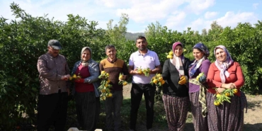 en-ucuz-meyve-mandalina-bahcede-8-tlye-kadar-dustu-jXvZVdCA.jpg