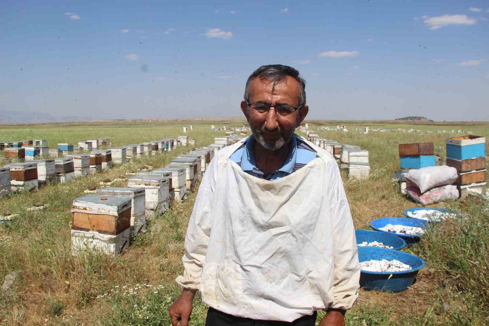 endemik cicekleri ile dikkat ceken alem dagi ordulu ailenin uc kusaktir vazgecilmez rotasi oldu gLd1DSZ1